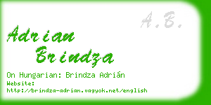 adrian brindza business card